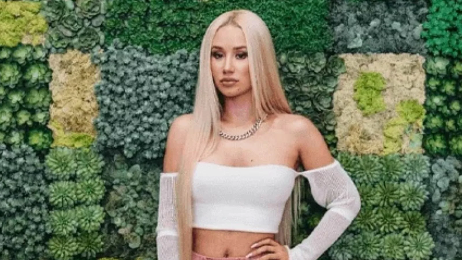 Iggy Azalea Célébrités ayant subi une chirurgie d’augmentation mammaire