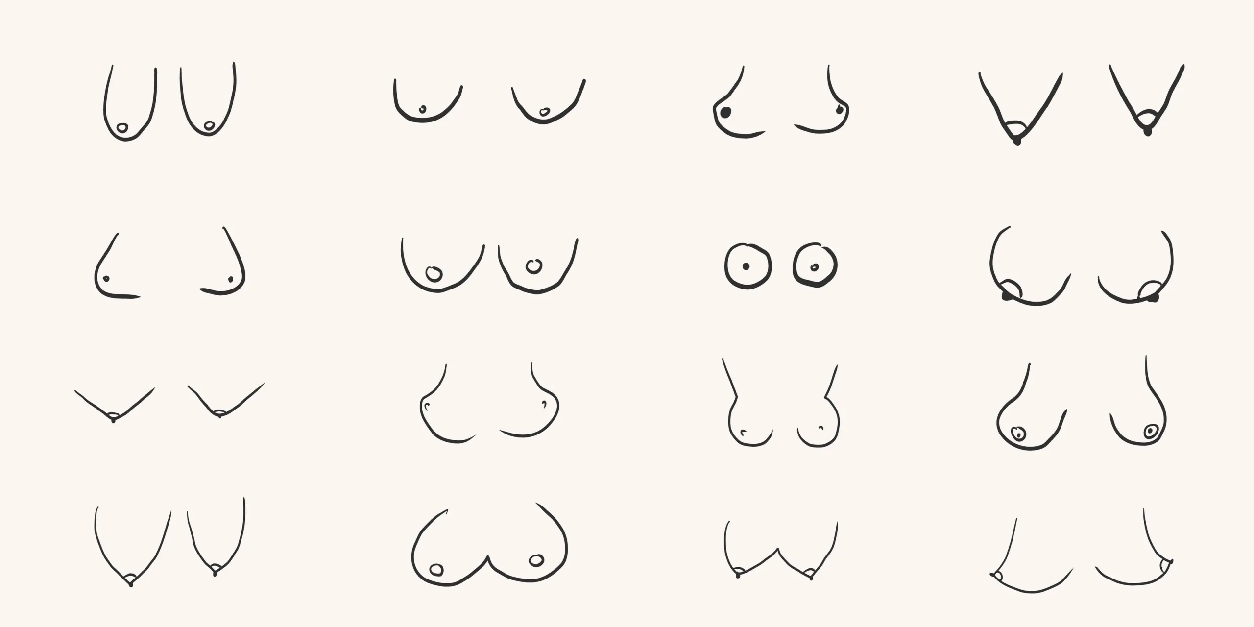 Women's Breast Types - Breast Varieties 2 Women’s Breast Types - Breast Variations